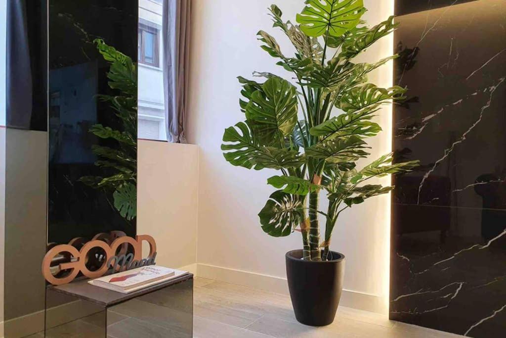 סנטנדר Miluisuites Loft And Spa Catedral. מראה חיצוני תמונה
